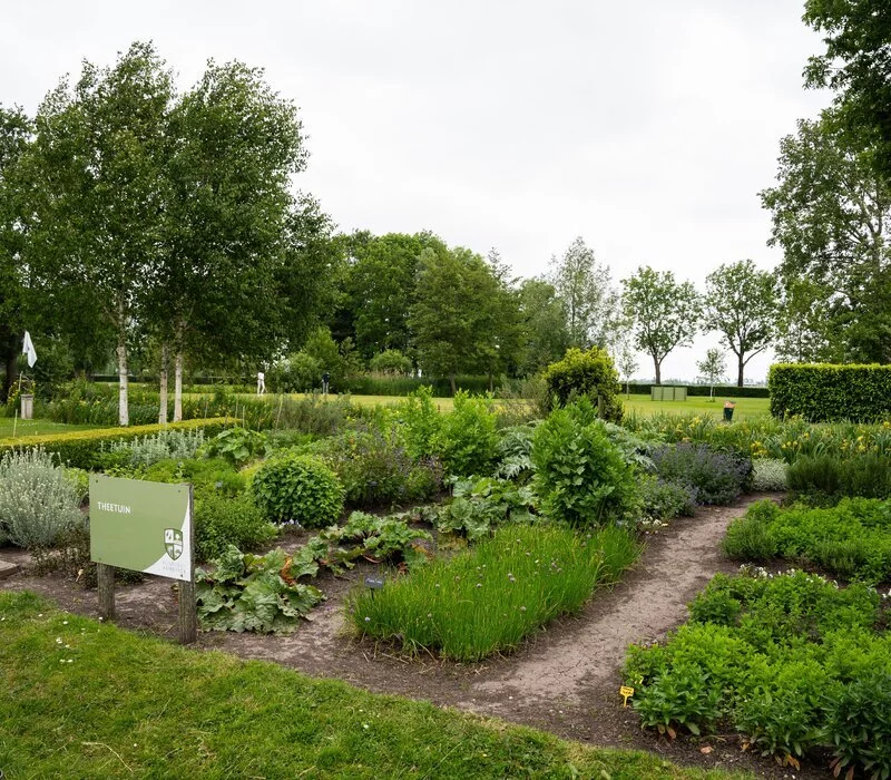 Moestuin1